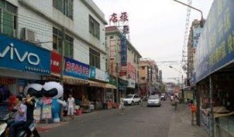 鸿阜园最新爆料信息,揭秘神秘项目背后的惊人真相