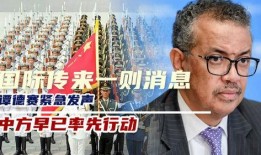 谭德赛最新爆料消息,揭秘疫情背后的惊人真相！”