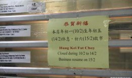 春节重庆爆料最新消息,最新爆料揭秘年味十足的城市盛况