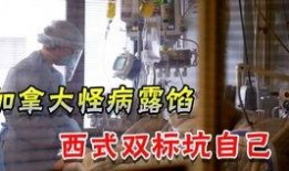 美国卫生部最新官员爆料,揭秘疫情背后的惊人真相