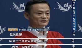 马云最新爆料消息,揭秘电商巨头背后的秘密与未来趋势